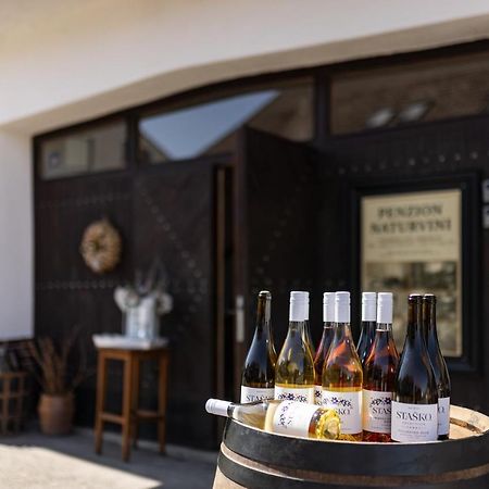 Penzion A Vinarstvi Naturvini Miroslav  Kültér fotó