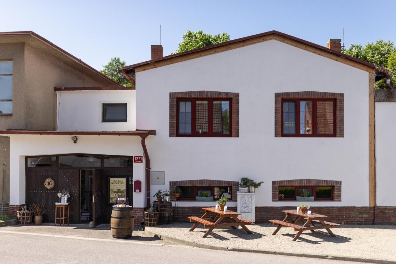 Penzion A Vinarstvi Naturvini Miroslav  Kültér fotó